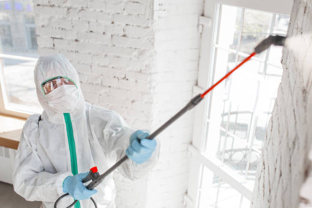 Best Environmental Consulting for Mold Prevention  in Sneads, FL