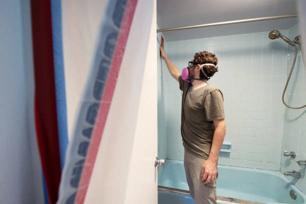 Best Black Mold Removal  in Sneads, FL