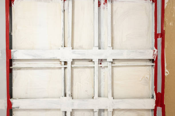 Best Asbestos and Lead Testing During Mold Inspection  in Sneads, FL