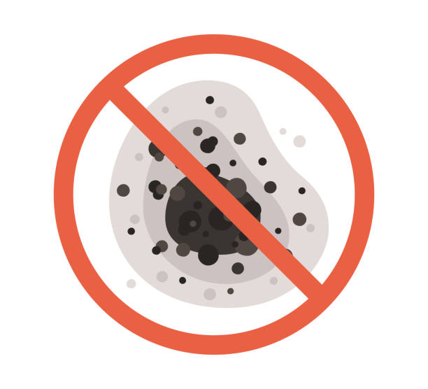 Professional Mold Removal in Sneads, FL