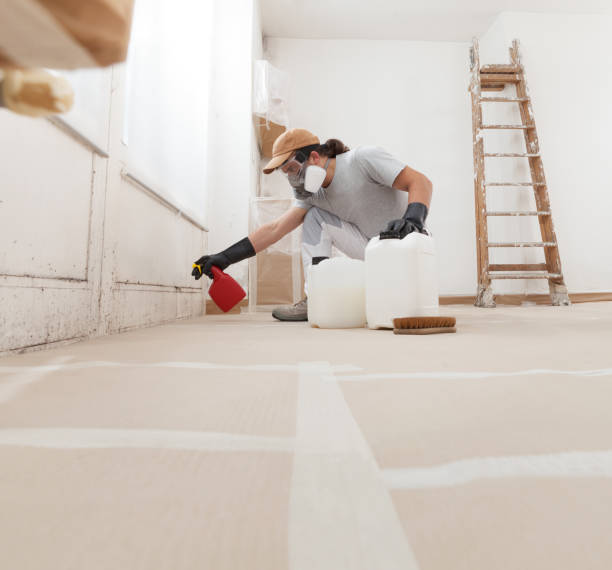 Best Real Estate Mold Inspection  in Sneads, FL